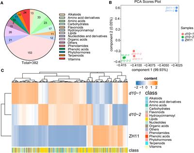 OsDWARF10, transcriptionally repressed by OsSPL3, regulates the nutritional metabolism of polished rice